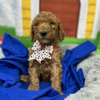 processed/bba197dd-e308-4e4e-8c22-f9874d2a47c1/facility/5b2d5eb6-3436-444d-96df-200a928fc1ad