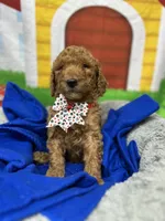 processed/bba197dd-e308-4e4e-8c22-f9874d2a47c1/facility/5b2d5eb6-3436-444d-96df-200a928fc1ad