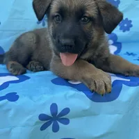 processed/bba197dd-e308-4e4e-8c22-f9874d2a47c1/facility/68502888-284a-4212-b431-048e4b5a7d90