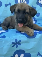 processed/bba197dd-e308-4e4e-8c22-f9874d2a47c1/facility/68502888-284a-4212-b431-048e4b5a7d90