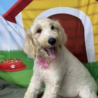 processed/bba197dd-e308-4e4e-8c22-f9874d2a47c1/facility/73005b2f-b967-4a23-916b-0816f22f83a6