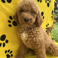 processed/bba197dd-e308-4e4e-8c22-f9874d2a47c1/facility/79d840a0-7470-43c7-bf79-86ecf376880e