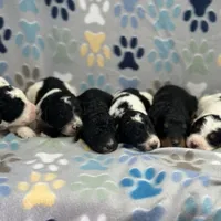 processed/bba197dd-e308-4e4e-8c22-f9874d2a47c1/facility/8b533c7d-0e31-4aac-a70d-fa3dab408a0c