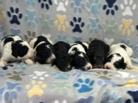 processed/bba197dd-e308-4e4e-8c22-f9874d2a47c1/facility/8b533c7d-0e31-4aac-a70d-fa3dab408a0c