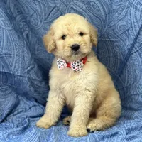 processed/bba197dd-e308-4e4e-8c22-f9874d2a47c1/facility/99dc24a0-6e67-461a-a5a5-1aa6c9d5df9c