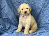 processed/bba197dd-e308-4e4e-8c22-f9874d2a47c1/facility/99dc24a0-6e67-461a-a5a5-1aa6c9d5df9c