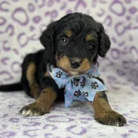 processed/bba197dd-e308-4e4e-8c22-f9874d2a47c1/facility/befc52c5-7711-4281-a668-1162ed5ebf92