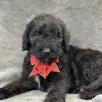 processed/bba197dd-e308-4e4e-8c22-f9874d2a47c1/facility/f2dcfff9-0872-41ea-8ea6-945c1f01eeea