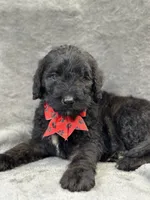 processed/bba197dd-e308-4e4e-8c22-f9874d2a47c1/facility/f2dcfff9-0872-41ea-8ea6-945c1f01eeea