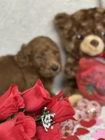 processed/bba197dd-e308-4e4e-8c22-f9874d2a47c1/listing/28017540-27ff-4d4b-a42a-a0368d94c8b5/30078e53-75c5-43fc-9417-423c26f27bcb