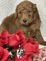 processed/bba197dd-e308-4e4e-8c22-f9874d2a47c1/listing/28017540-27ff-4d4b-a42a-a0368d94c8b5/3cb3f95b-ab6e-40c2-a5ee-8506bcd163e5