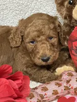 processed/bba197dd-e308-4e4e-8c22-f9874d2a47c1/listing/28017540-27ff-4d4b-a42a-a0368d94c8b5/644f6665-208f-4a2d-87e8-36a6791890a7