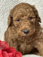 processed/bba197dd-e308-4e4e-8c22-f9874d2a47c1/listing/28017540-27ff-4d4b-a42a-a0368d94c8b5/6accca80-0d00-4514-a2de-f71613b3dd60