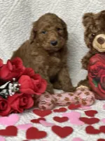 processed/bba197dd-e308-4e4e-8c22-f9874d2a47c1/listing/28017540-27ff-4d4b-a42a-a0368d94c8b5/74ab6f9e-8899-4c3c-9ece-830a1caeb2ea