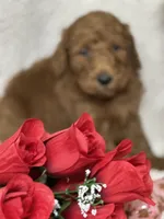 processed/bba197dd-e308-4e4e-8c22-f9874d2a47c1/listing/28017540-27ff-4d4b-a42a-a0368d94c8b5/77c87f23-86d8-4e25-8666-f6b8c1b138f5