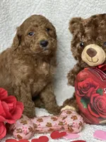 processed/bba197dd-e308-4e4e-8c22-f9874d2a47c1/listing/28017540-27ff-4d4b-a42a-a0368d94c8b5/c0a3fce5-c26c-43c9-833f-4c26bde6b749