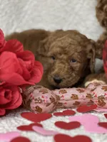 processed/bba197dd-e308-4e4e-8c22-f9874d2a47c1/listing/28017540-27ff-4d4b-a42a-a0368d94c8b5/e90fff9f-5c91-47ba-a04c-20526fbe6bef