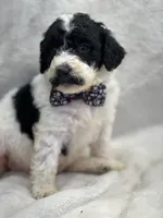 processed/bba197dd-e308-4e4e-8c22-f9874d2a47c1/listing/3af9f276-6dbf-47c0-9ed2-b09ae8b79e0f/1017adb8-4dad-4d19-bc2c-db97df3f22e7