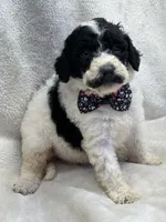 processed/bba197dd-e308-4e4e-8c22-f9874d2a47c1/listing/3af9f276-6dbf-47c0-9ed2-b09ae8b79e0f/28e3f713-7b19-48b3-8a9b-4f615cc851ab