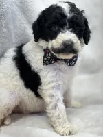 processed/bba197dd-e308-4e4e-8c22-f9874d2a47c1/listing/3af9f276-6dbf-47c0-9ed2-b09ae8b79e0f/2f816eb1-1df0-47e8-a4a9-db9ca24e0407