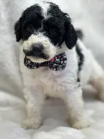 processed/bba197dd-e308-4e4e-8c22-f9874d2a47c1/listing/3af9f276-6dbf-47c0-9ed2-b09ae8b79e0f/4e3057bd-daf8-442b-ac62-13868c61d1a2