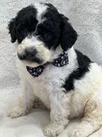 processed/bba197dd-e308-4e4e-8c22-f9874d2a47c1/listing/3af9f276-6dbf-47c0-9ed2-b09ae8b79e0f/6248d928-e0e8-41f4-97c6-99c00fcf7a09