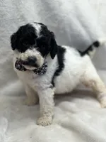 processed/bba197dd-e308-4e4e-8c22-f9874d2a47c1/listing/3af9f276-6dbf-47c0-9ed2-b09ae8b79e0f/6e1b8564-ae43-4fb3-96bf-3a5564d4d2db