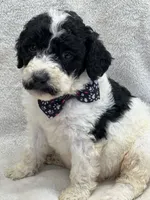 processed/bba197dd-e308-4e4e-8c22-f9874d2a47c1/listing/3af9f276-6dbf-47c0-9ed2-b09ae8b79e0f/a944705c-e8e4-4b85-b49e-b1814370dc30