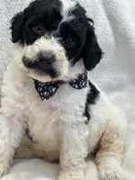 processed/bba197dd-e308-4e4e-8c22-f9874d2a47c1/listing/3af9f276-6dbf-47c0-9ed2-b09ae8b79e0f/a96abab8-5e7d-422b-a8a2-678ec3530d25