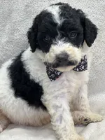 processed/bba197dd-e308-4e4e-8c22-f9874d2a47c1/listing/3af9f276-6dbf-47c0-9ed2-b09ae8b79e0f/ae3e25d4-3eaf-41f1-8e04-37fd665aa1c4