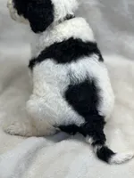 processed/bba197dd-e308-4e4e-8c22-f9874d2a47c1/listing/3af9f276-6dbf-47c0-9ed2-b09ae8b79e0f/b9cd864f-70de-468e-afd5-fd12387b6459