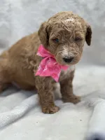 processed/bba197dd-e308-4e4e-8c22-f9874d2a47c1/listing/46554fe6-120c-43a9-8c4c-3bc3591de30c/0429abb3-3c32-4f60-93b1-851f87135dab