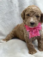 processed/bba197dd-e308-4e4e-8c22-f9874d2a47c1/listing/46554fe6-120c-43a9-8c4c-3bc3591de30c/16d217f2-4681-4bd5-94c9-eaeec6b12680