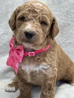 processed/bba197dd-e308-4e4e-8c22-f9874d2a47c1/listing/46554fe6-120c-43a9-8c4c-3bc3591de30c/2cbfc47e-d0c6-4217-81d0-914f16c27493