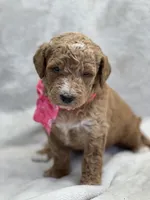 processed/bba197dd-e308-4e4e-8c22-f9874d2a47c1/listing/46554fe6-120c-43a9-8c4c-3bc3591de30c/52353f78-4de4-4447-ae50-3e1e272ea823