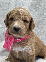 processed/bba197dd-e308-4e4e-8c22-f9874d2a47c1/listing/46554fe6-120c-43a9-8c4c-3bc3591de30c/540bf4e3-08ba-4466-ab54-9b4052133c11