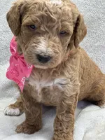 processed/bba197dd-e308-4e4e-8c22-f9874d2a47c1/listing/46554fe6-120c-43a9-8c4c-3bc3591de30c/82995fb0-bf06-49b7-803a-81c3cd6717b7