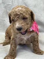 processed/bba197dd-e308-4e4e-8c22-f9874d2a47c1/listing/46554fe6-120c-43a9-8c4c-3bc3591de30c/a681ebbf-5cd2-41fc-9723-2d1c1bacb6dc