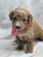 processed/bba197dd-e308-4e4e-8c22-f9874d2a47c1/listing/46554fe6-120c-43a9-8c4c-3bc3591de30c/c1c03219-5158-40f7-92b8-42044c38aefb