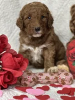 processed/bba197dd-e308-4e4e-8c22-f9874d2a47c1/listing/6f899e2a-c7b1-4019-bb79-8b42327a5934/0e27dff1-db65-4d4b-83e8-07c91a1f004c