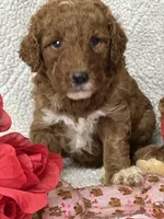 processed/bba197dd-e308-4e4e-8c22-f9874d2a47c1/listing/6f899e2a-c7b1-4019-bb79-8b42327a5934/18b5d8e2-3550-4ef1-8f3d-412a5bc2b9ed