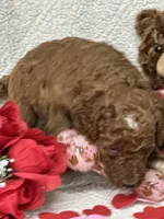 processed/bba197dd-e308-4e4e-8c22-f9874d2a47c1/listing/6f899e2a-c7b1-4019-bb79-8b42327a5934/25d5f833-54c6-4535-bb96-64efd8c6488a