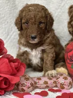 processed/bba197dd-e308-4e4e-8c22-f9874d2a47c1/listing/6f899e2a-c7b1-4019-bb79-8b42327a5934/28774b3c-dae0-41fe-9c0b-b3efe253213a