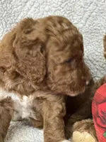 processed/bba197dd-e308-4e4e-8c22-f9874d2a47c1/listing/6f899e2a-c7b1-4019-bb79-8b42327a5934/332f38c5-d9cc-44d9-baab-3d2da9b34fff