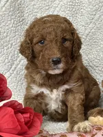 processed/bba197dd-e308-4e4e-8c22-f9874d2a47c1/listing/6f899e2a-c7b1-4019-bb79-8b42327a5934/895cae95-f63f-4d3b-aee9-6da8b1bfe621