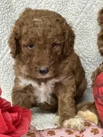 processed/bba197dd-e308-4e4e-8c22-f9874d2a47c1/listing/6f899e2a-c7b1-4019-bb79-8b42327a5934/a05e0a60-5379-4e81-8723-5dfc433ff108