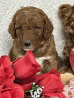 processed/bba197dd-e308-4e4e-8c22-f9874d2a47c1/listing/6f899e2a-c7b1-4019-bb79-8b42327a5934/a6117967-31e0-42a1-98dc-92339f5548c2