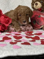 processed/bba197dd-e308-4e4e-8c22-f9874d2a47c1/listing/6f899e2a-c7b1-4019-bb79-8b42327a5934/fbeed65e-56f1-4c9d-9faa-84b3906661b5