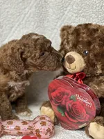 processed/bba197dd-e308-4e4e-8c22-f9874d2a47c1/listing/711b6b5f-93a6-467c-b000-73fa0c355c86/0ef20c78-1690-4808-a8a2-7bdfedb1f8d2