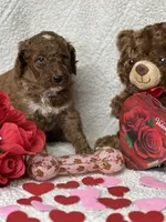 processed/bba197dd-e308-4e4e-8c22-f9874d2a47c1/listing/711b6b5f-93a6-467c-b000-73fa0c355c86/2e584156-e91f-4fa8-a765-487b11f5589d